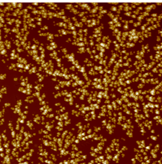 AFM scan of a dried tear from a diabetic patient