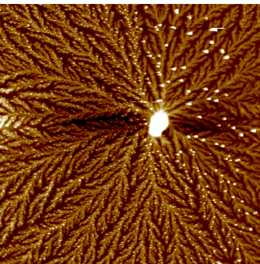 AFM scan of a dried tear from a dry-eye patient