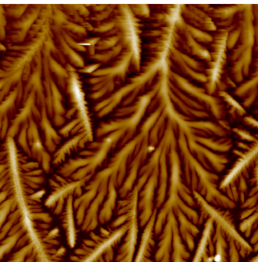 AFM scan of a healthy dried tear