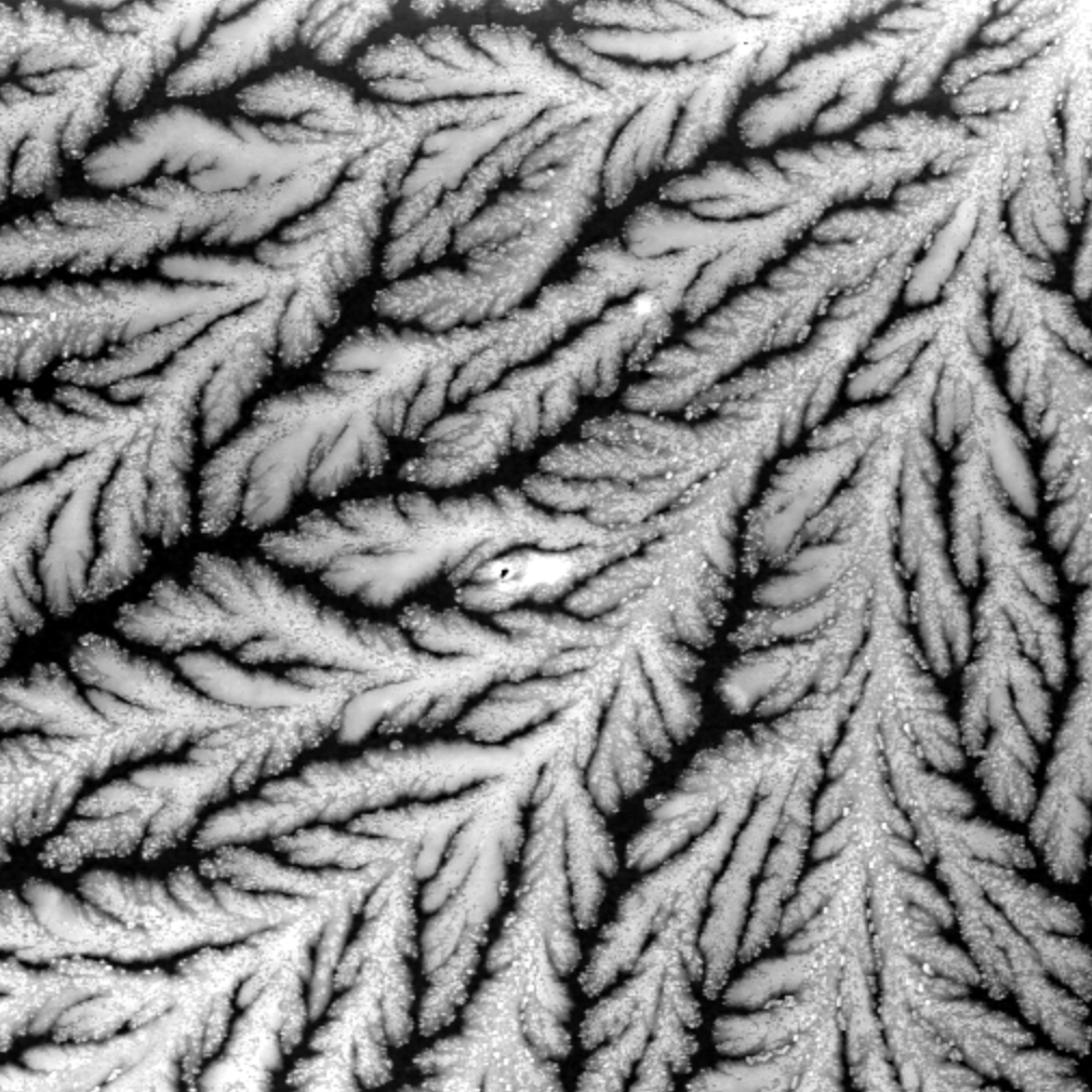 Tear pattern — Dendrite in blue