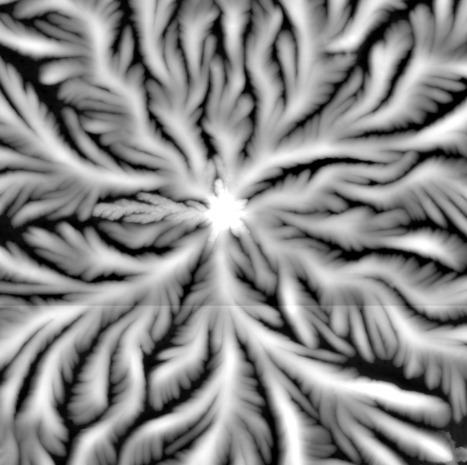 Tear pattern — Porcelain fern