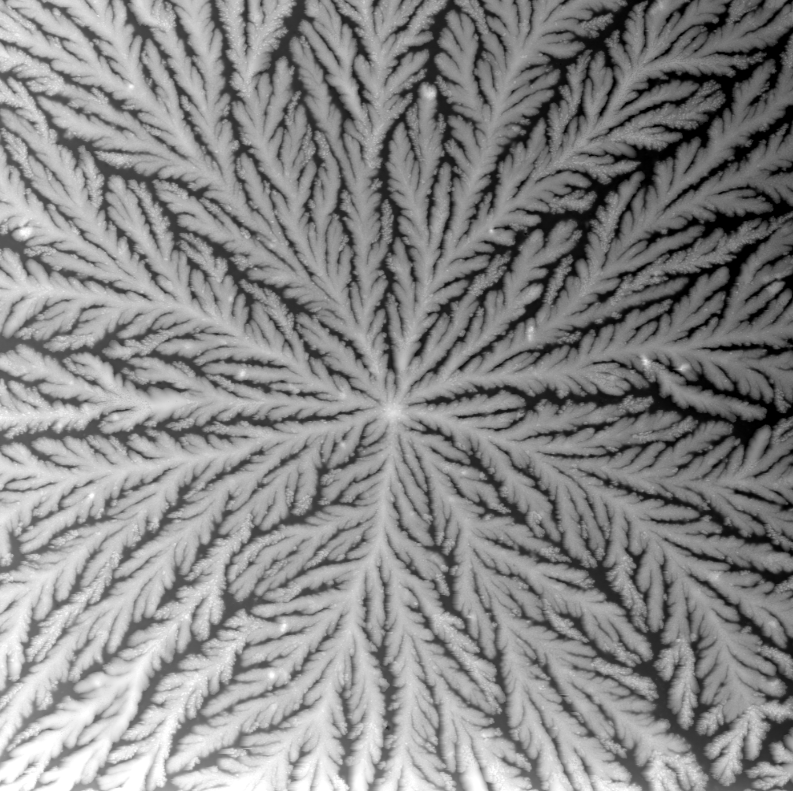 Tear pattern — Gilded river